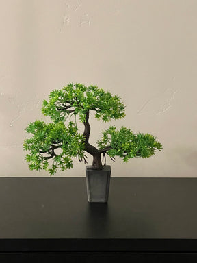 Bonsai Insert Upgrade Kit